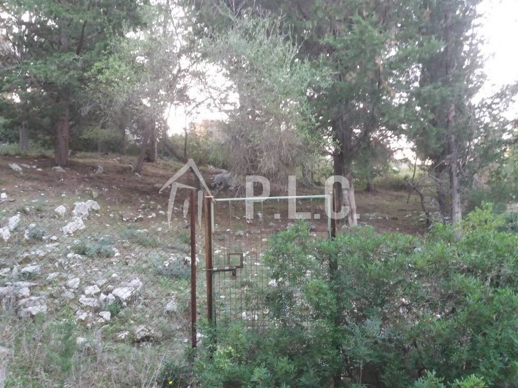 PLOT WITH 3 PROPERTIES for Sale -  PAXOS