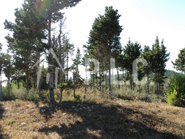 PLOT WITH BUILDING PERMIT
 for Sale -  LAKKA PAXOS