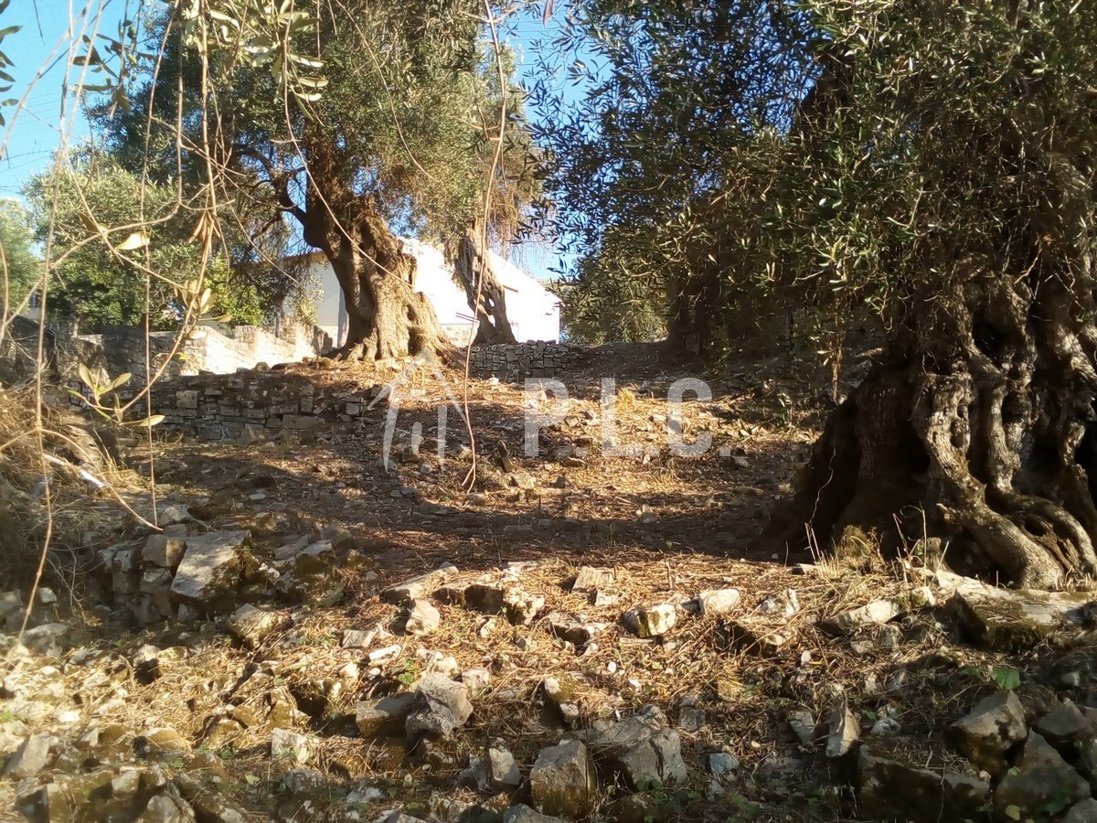 LAND for Sale -  PAXOS