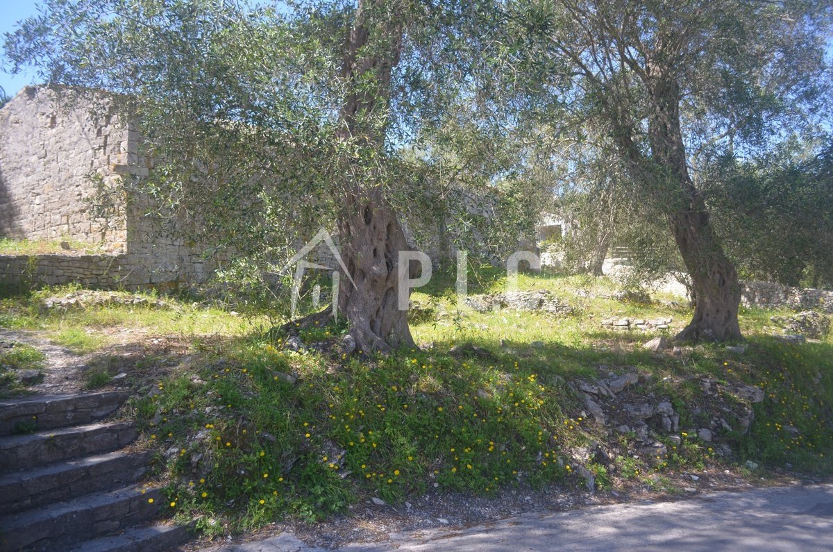OLD OLIVE PRESS CONVERTION TO RESIDENCE for Sale -  MAGAZIA PAXOS